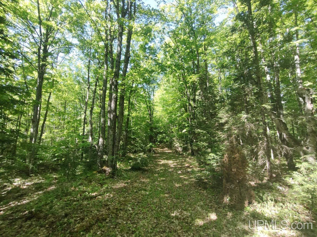 184 Marten Lake Road Iron River, MI 49935 - Photo 19 of 25