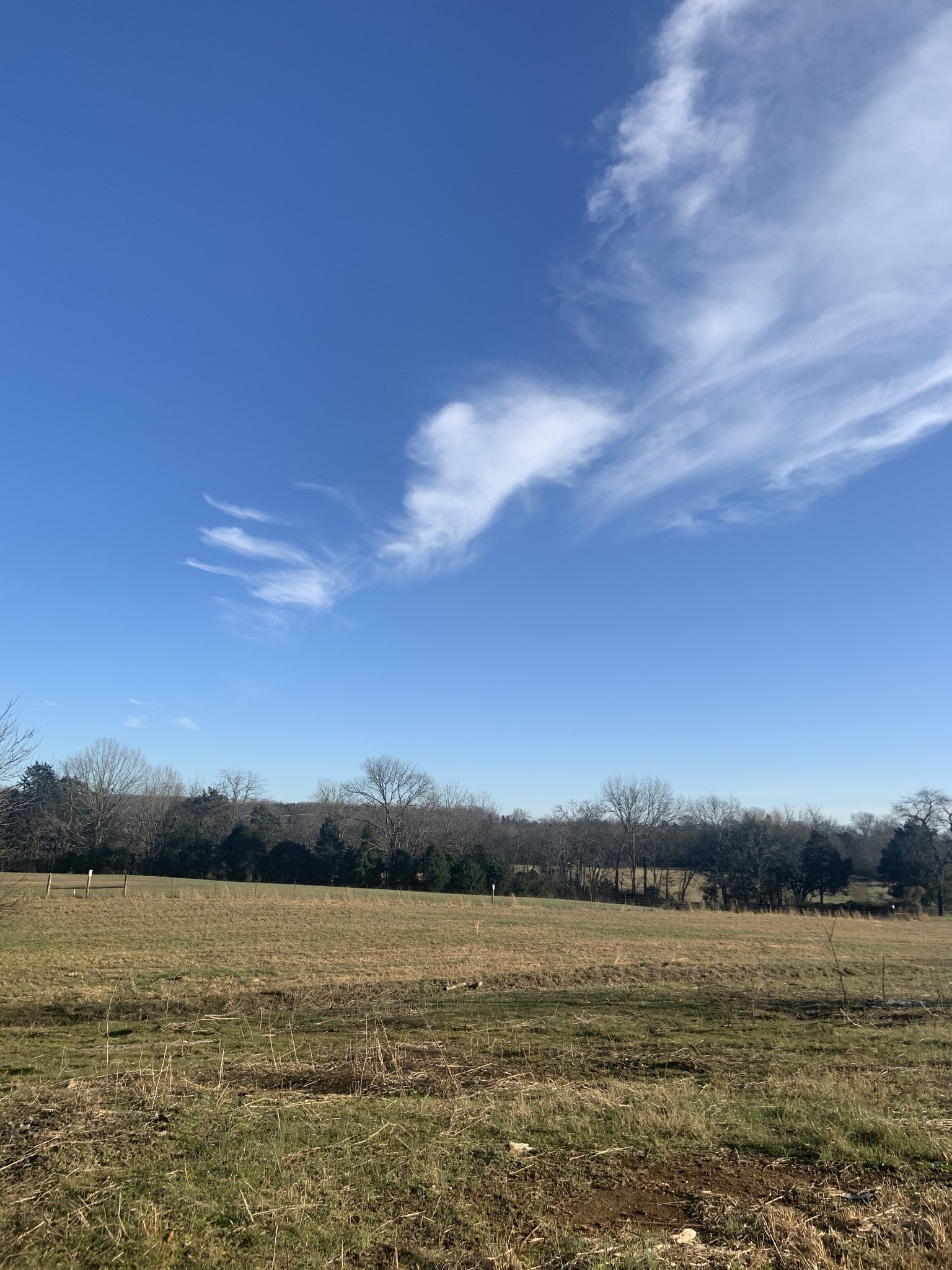0 Northern Rd Mount Lebanon, TN 37087 - Photo 1 of 5 Gallery Image 1