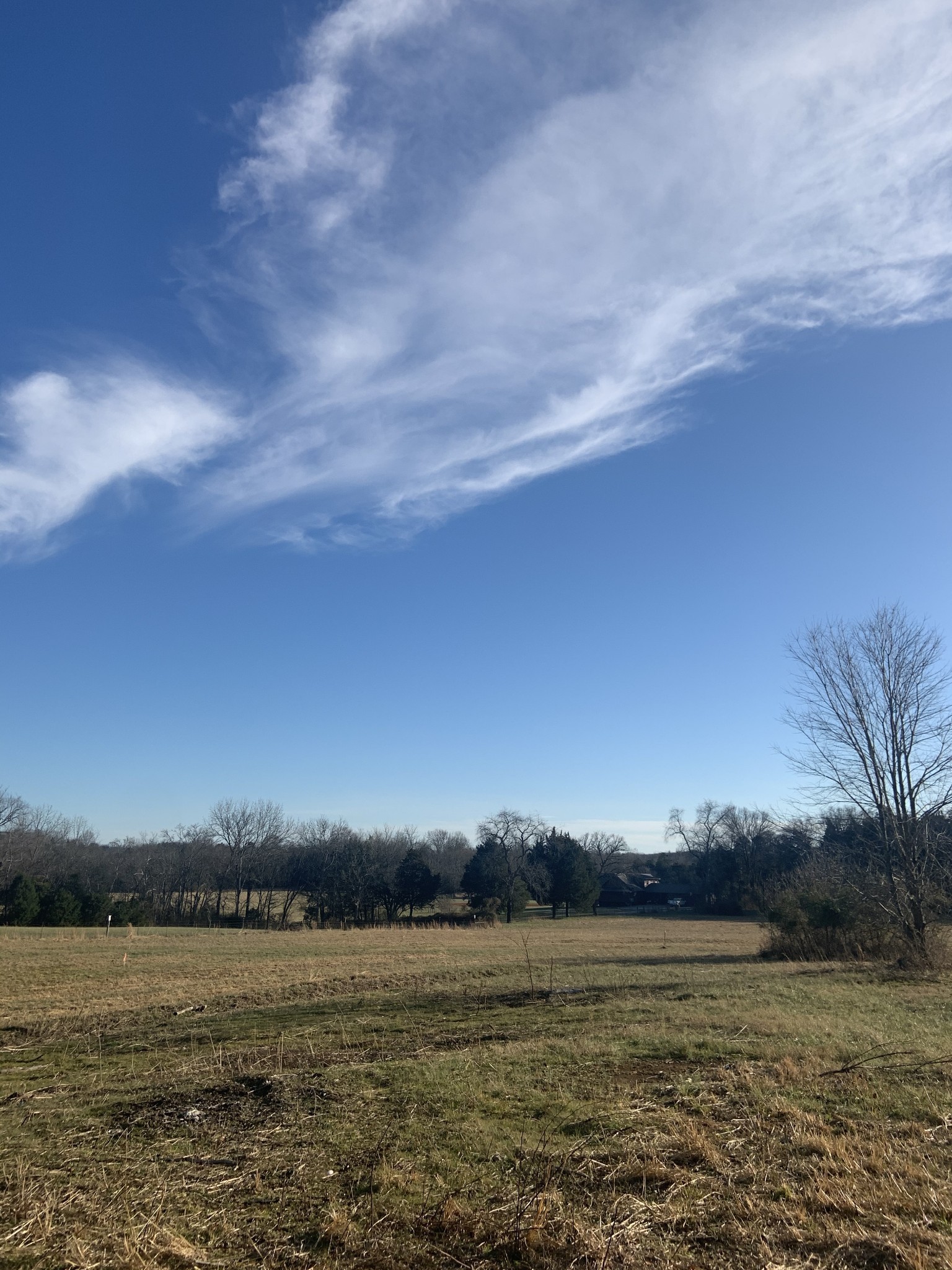 0 Northern Rd Mount Lebanon, TN 37087 - Photo 2 of 5 Gallery Image 2