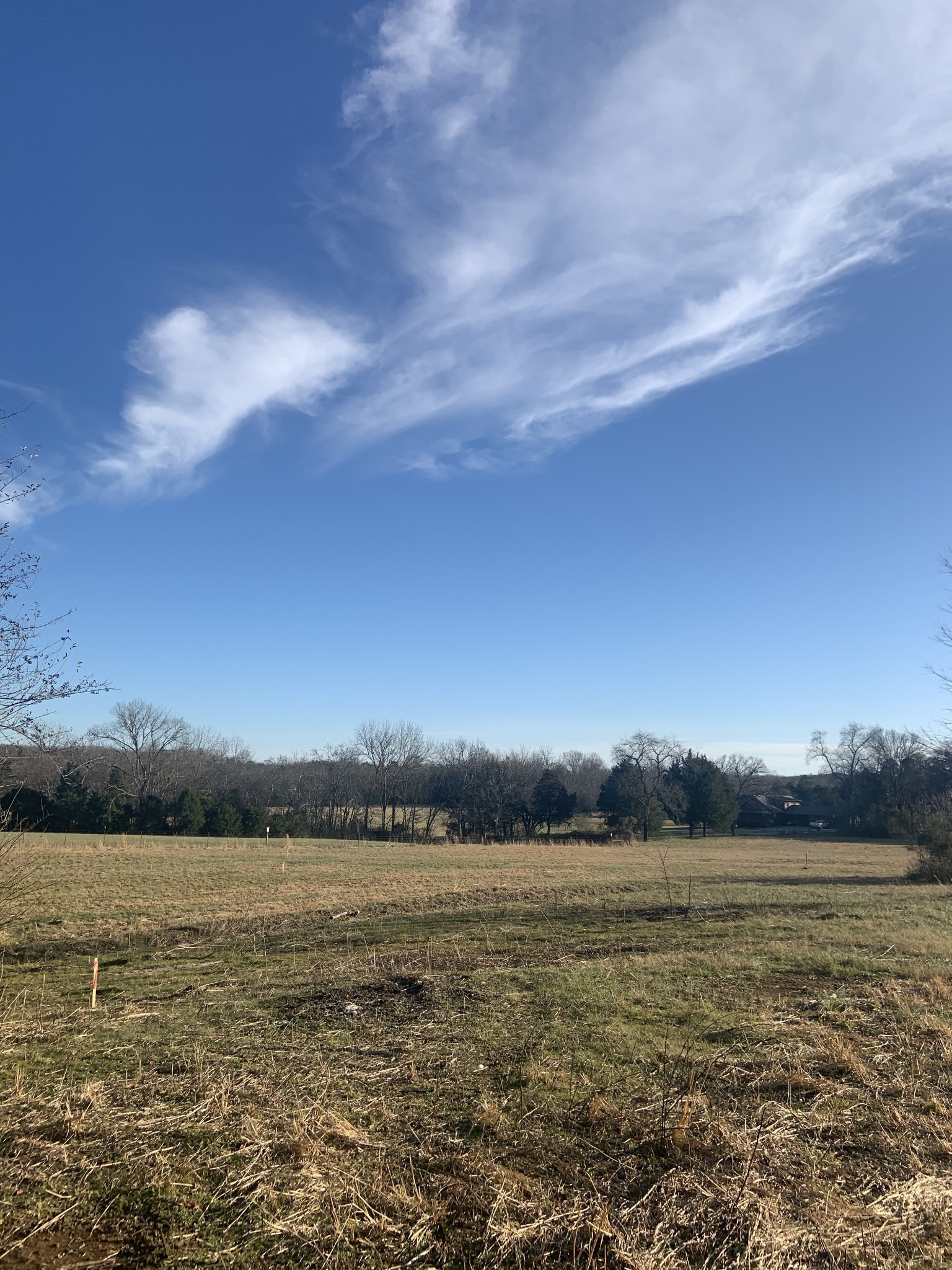 0 Northern Rd Mount Lebanon, TN 37087 - Photo 3 of 5 Gallery Image 3