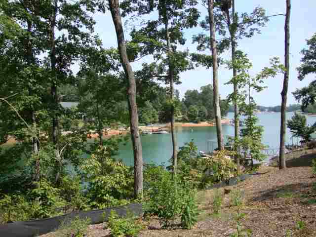 Lot 1 Laurel Pointe Seneca, SC 29678 - Photo 3 of 11 Gallery Image 3