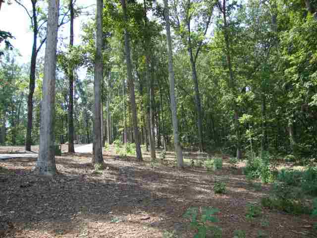 Lot 1 Laurel Pointe Seneca, SC 29678 - Photo 4 of 11 Gallery Image 4