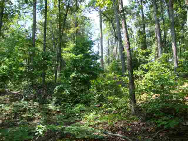 Lot 1 Laurel Pointe Seneca, SC 29678 - Photo 10 of 11 Gallery Image 10