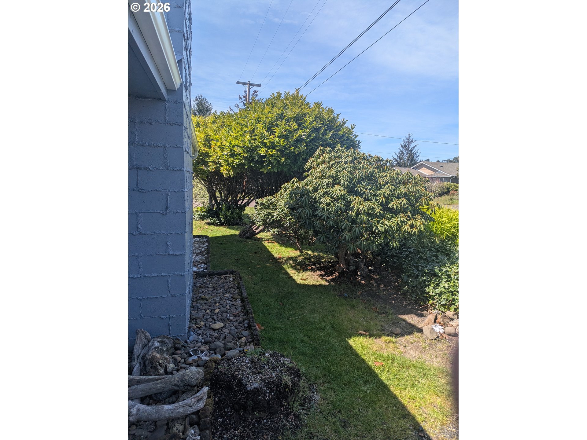 1116 7th Street Florence, OR 97439 - Photo 14 of 15 a view of a yard