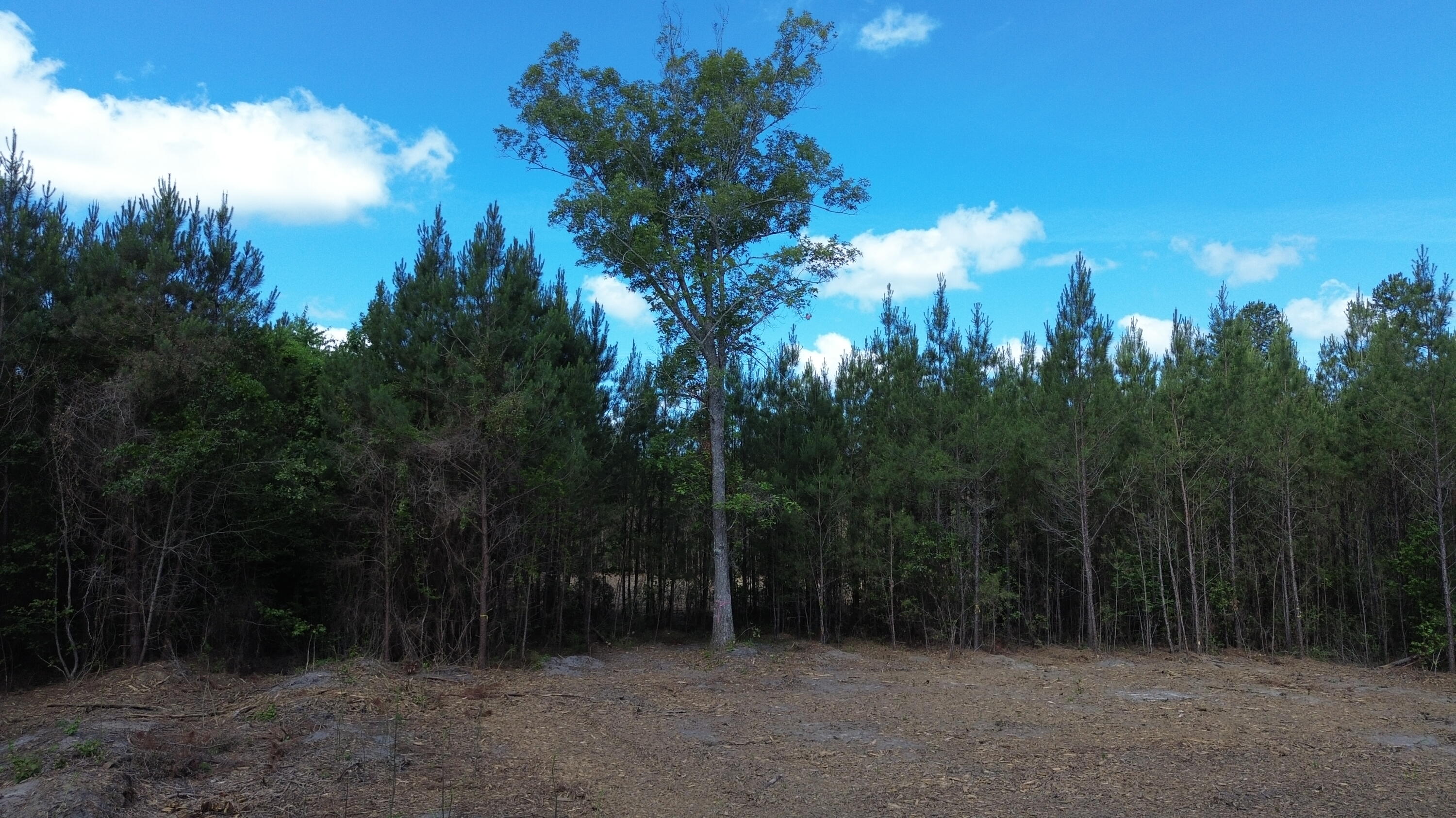 4 Highway 311 Cross, SC 29436 - Photo 3 of 11 DJI_0407