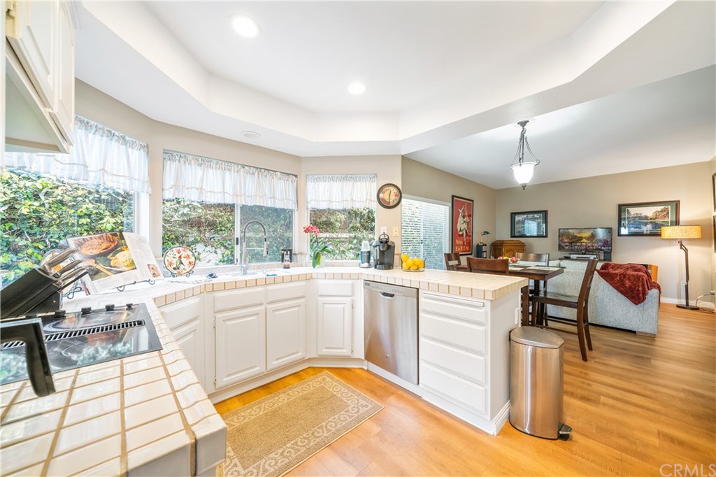 33 Dauphin Dana Point, CA 92629 - Photo 13 of 55