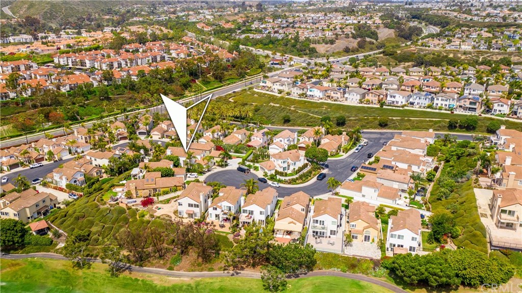 33 Dauphin Dana Point, CA 92629 - Photo 49 of 55