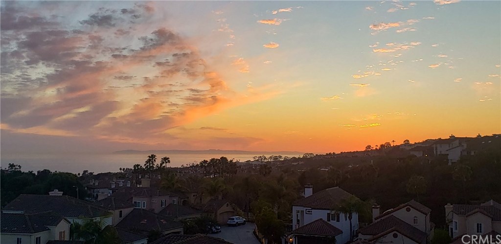 33 Dauphin Dana Point, CA 92629 - Photo 53 of 55