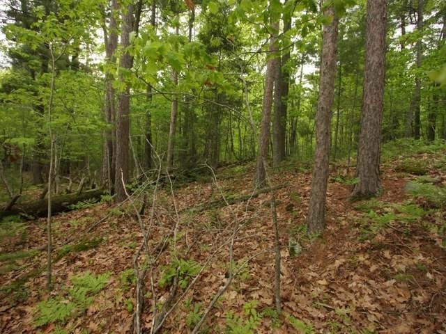 1-2 Satuit Lane Rhinelander, WI 54501 - Photo 12 of 15 Gallery Image 12