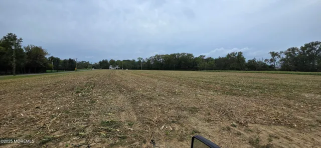 a view of a field with trees in background