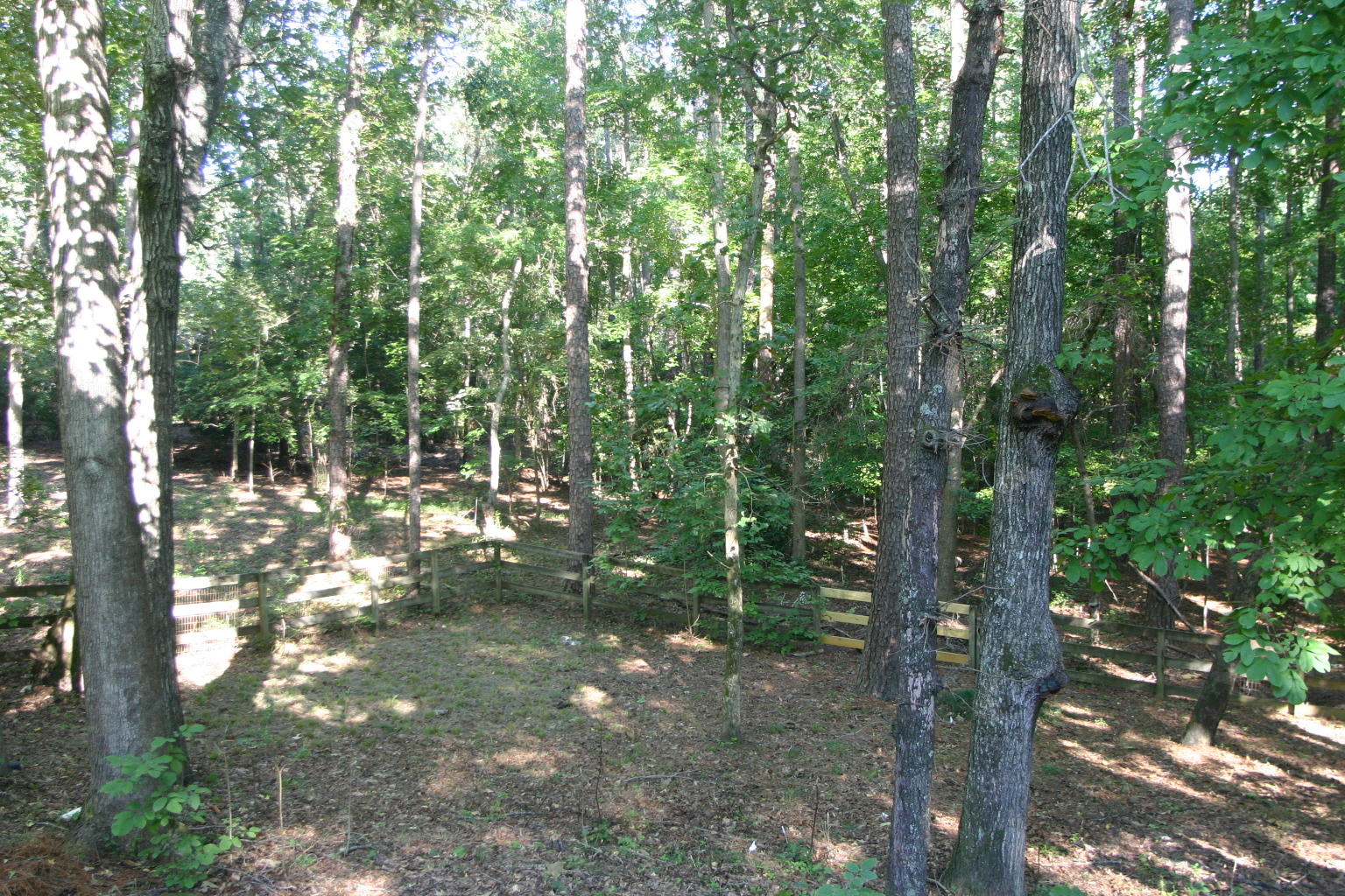309 Kyloe Road Southern Pines, NC 28387 - Photo 31 of 34 Yard back 2