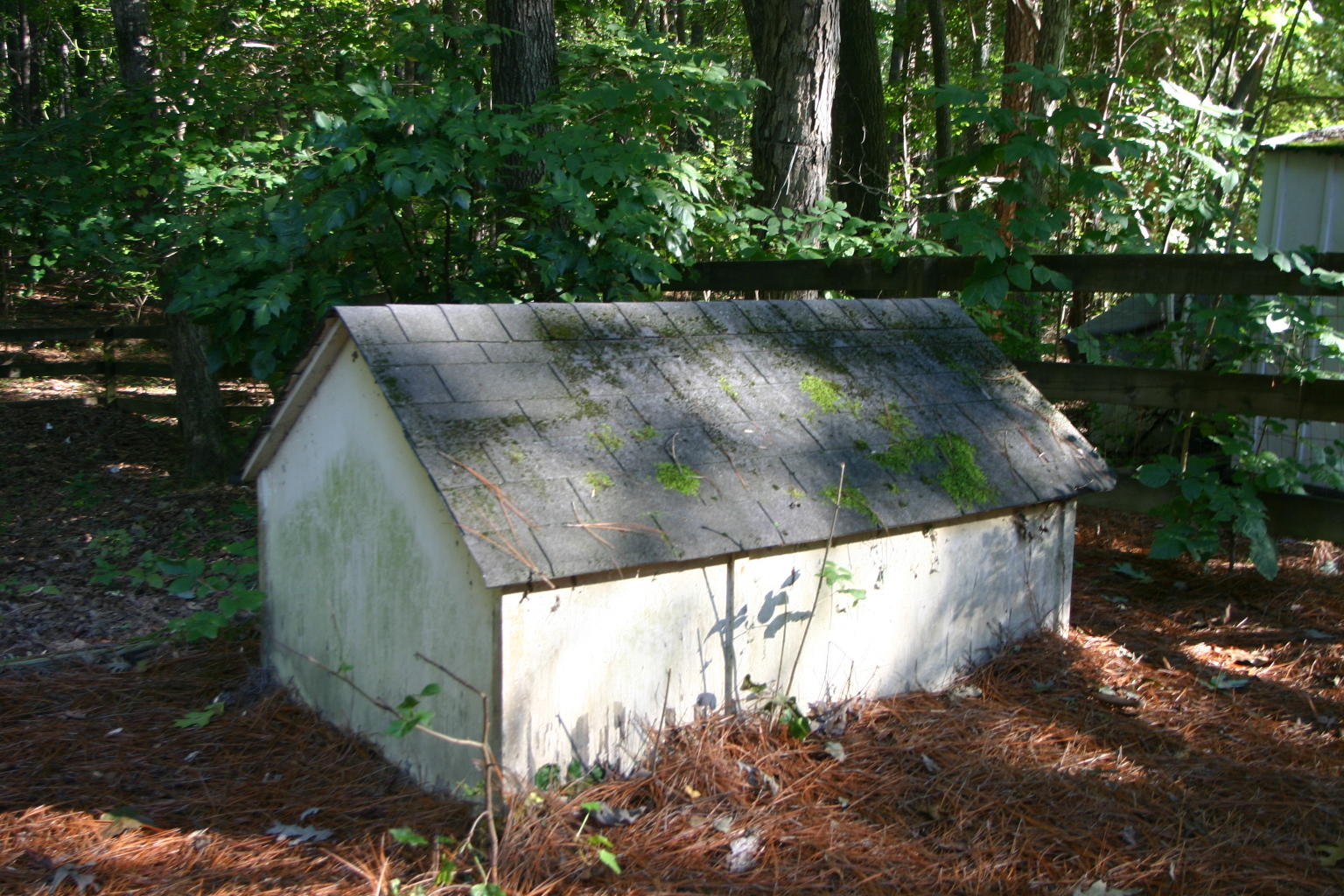 309 Kyloe Road Southern Pines, NC 28387 - Photo 33 of 34 Dog house