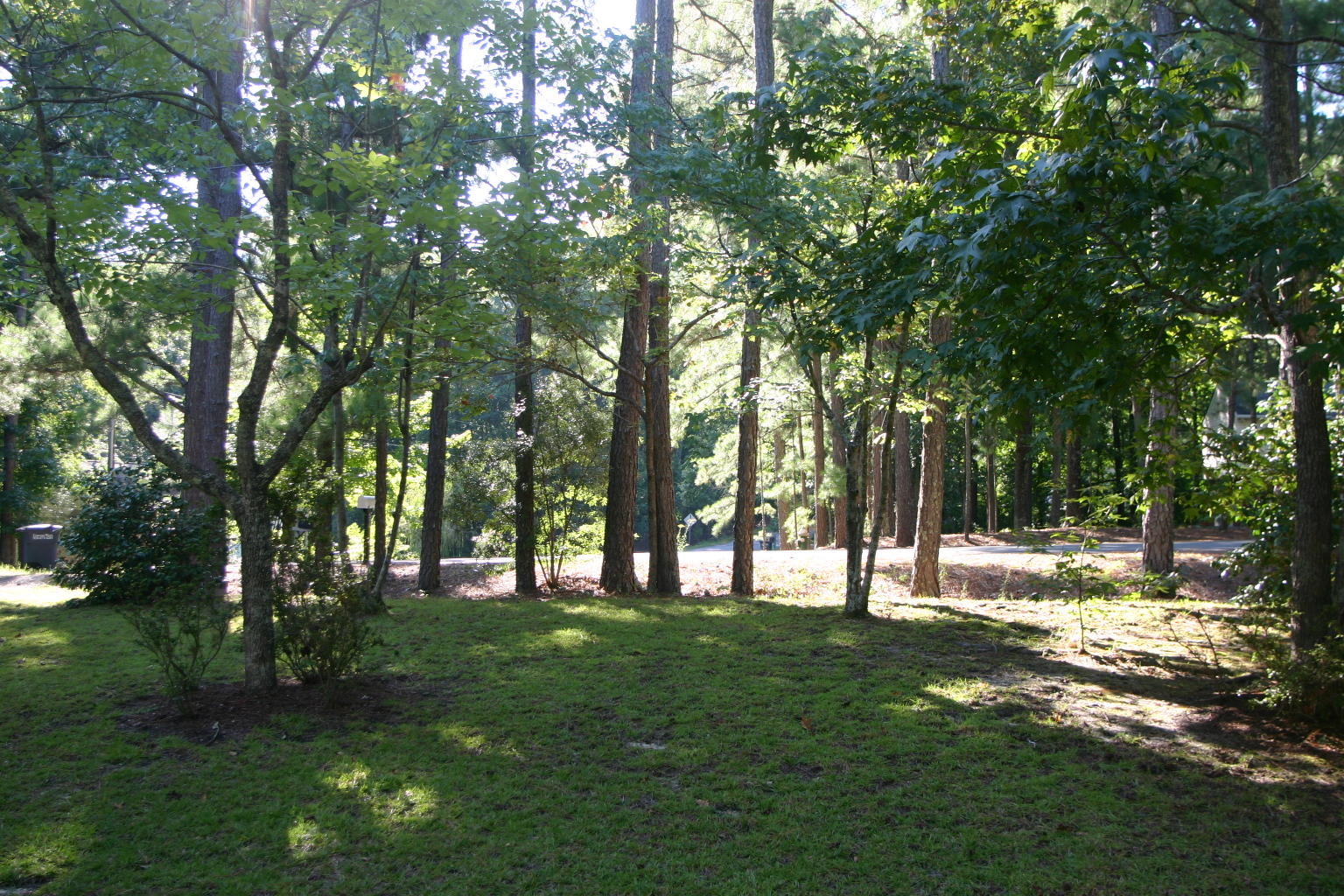 309 Kyloe Road Southern Pines, NC 28387 - Photo 34 of 34 Yard front