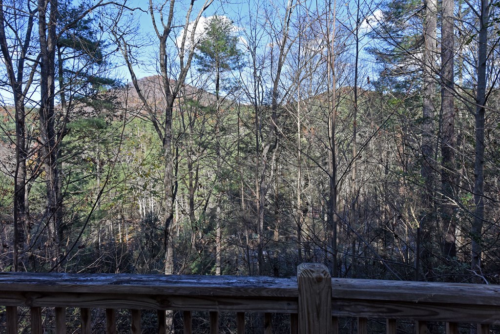 24444 Morganton Highway Blue Ridge, GA 30513 - Photo 8 of 41 a view of a tree with wooden fence
