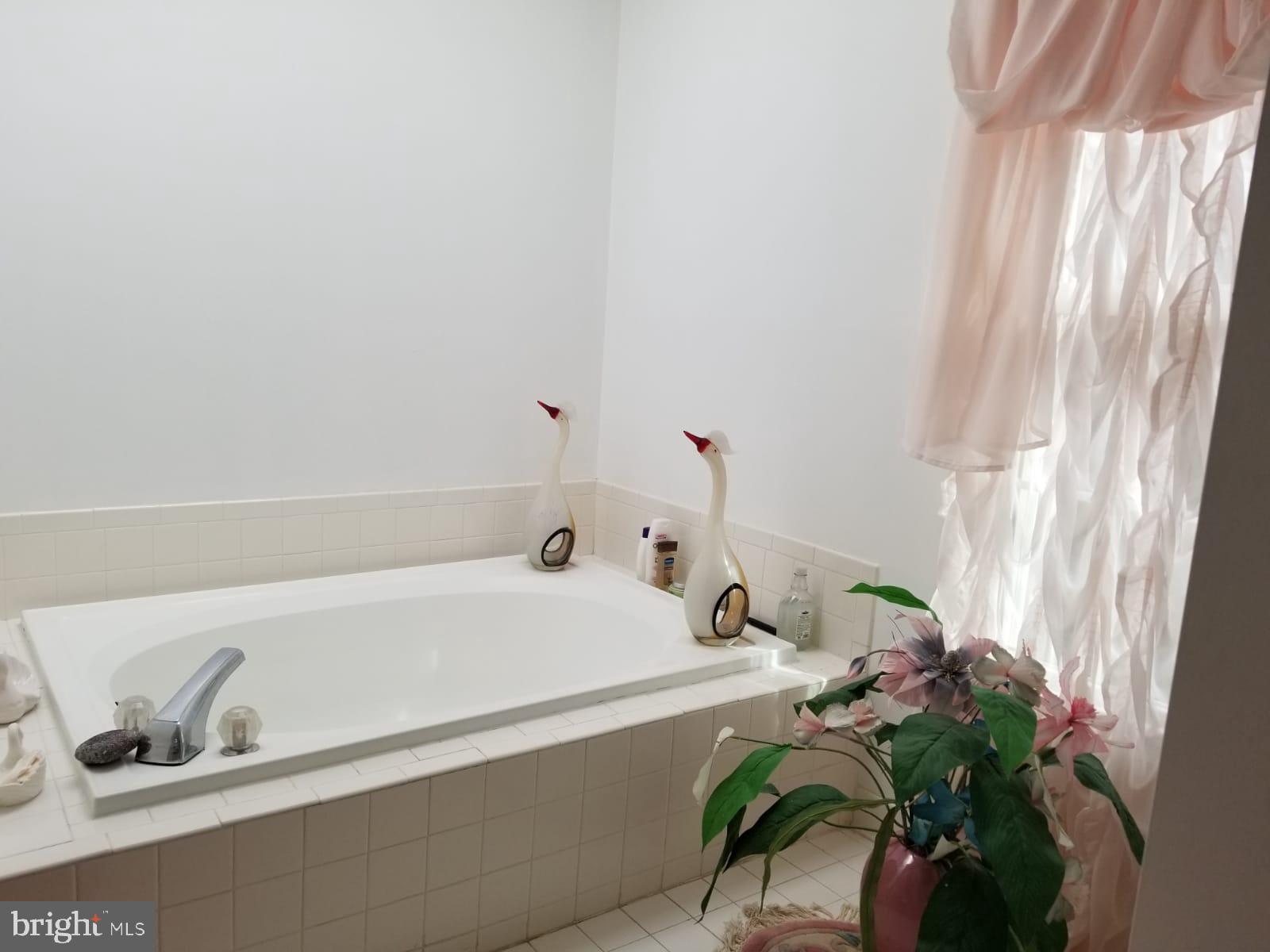 10511 Lake Arbor Way Bowie, MD 20721 - Photo 20 of 28 Owners suite bathroom