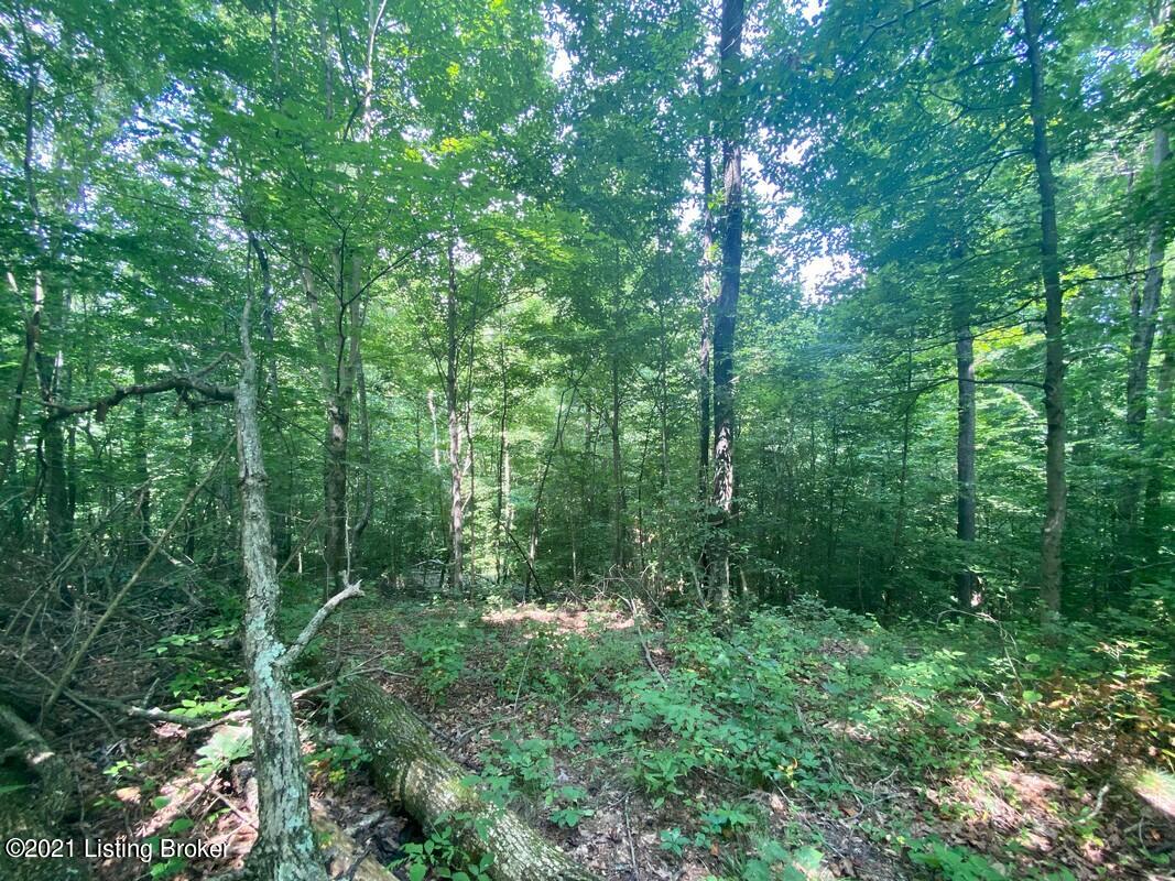 1270 Duvall Road Caneyville, KY 42721 - Photo 27 of 61 1270 Duvall Rd15
