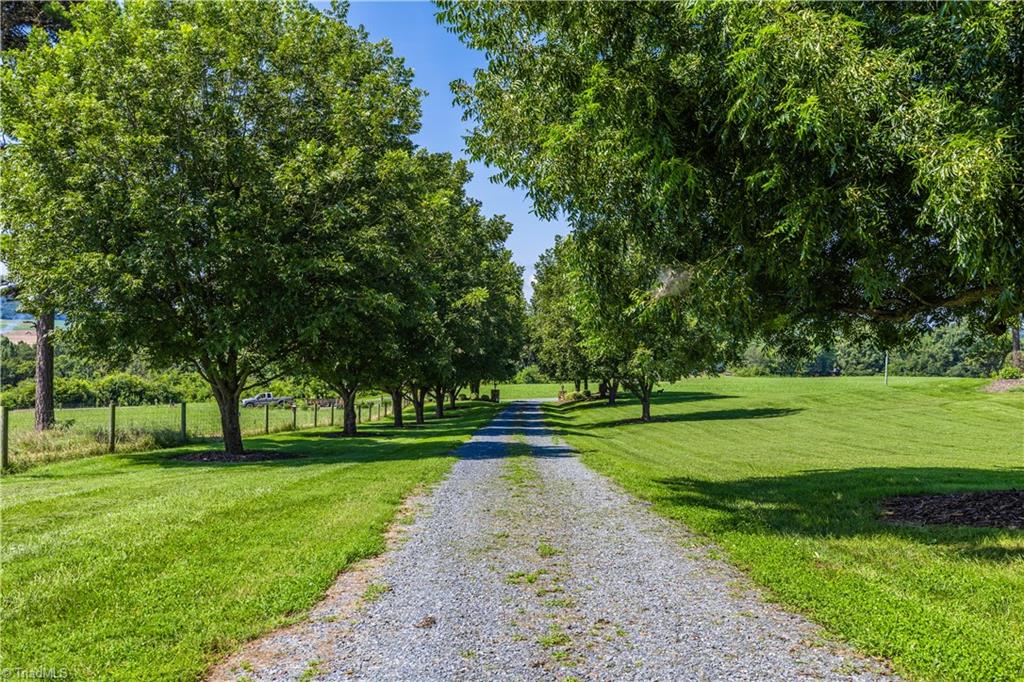 6350 Roscoe Road Denton, NC 27239 - Photo 4 of 50 Driveway