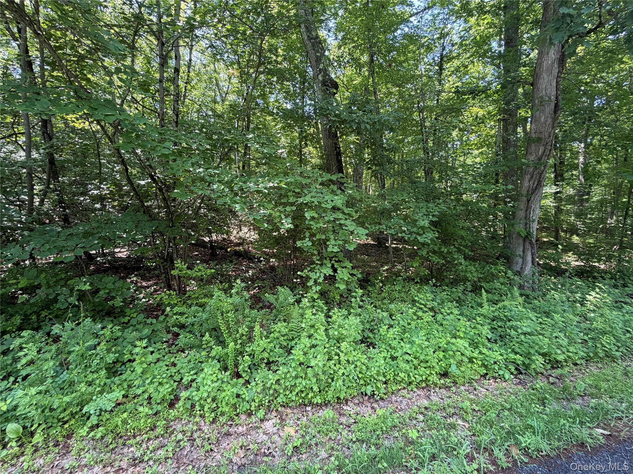 599 East Mountain Road North Cold Spring, NY 10516 - Photo 9 of 11