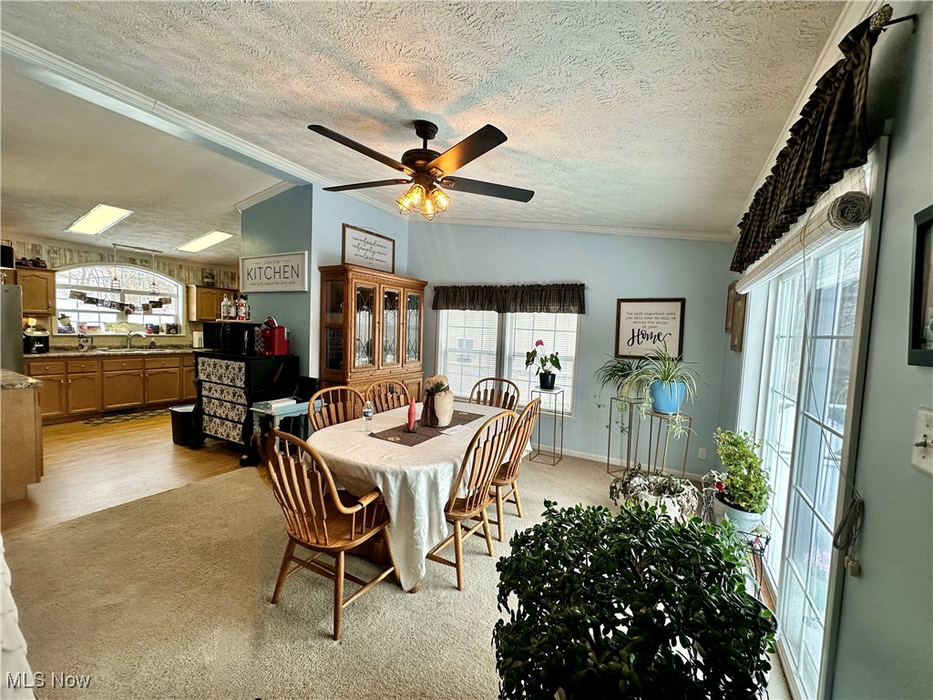 50143 Duke Vodrey Road East Liverpool, OH 43920 - Photo 6 of 32