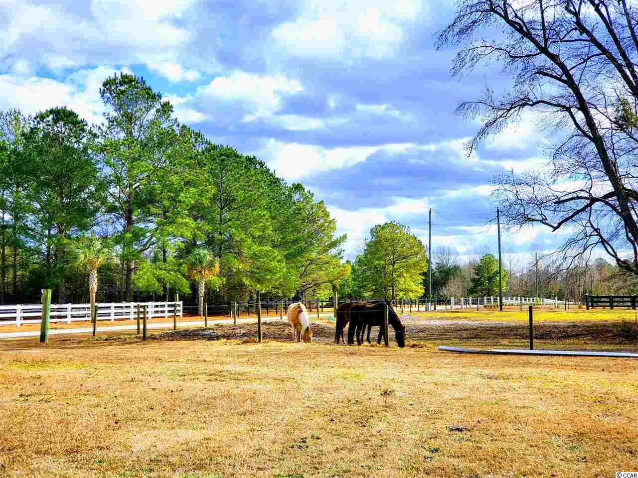 319 Liberty Church Road Loris, SC 29569 - Photo 16 of 23