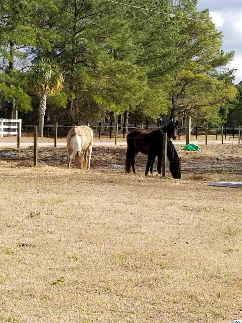 319 Liberty Church Road Loris, SC 29569 - Photo 21 of 23