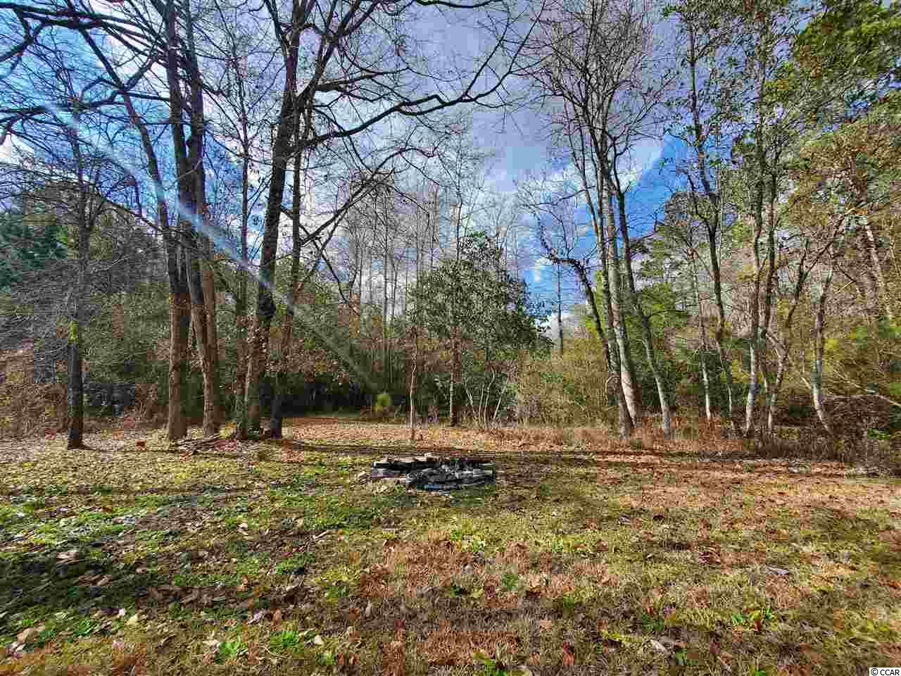 319 Liberty Church Road Loris, SC 29569 - Photo 22 of 23