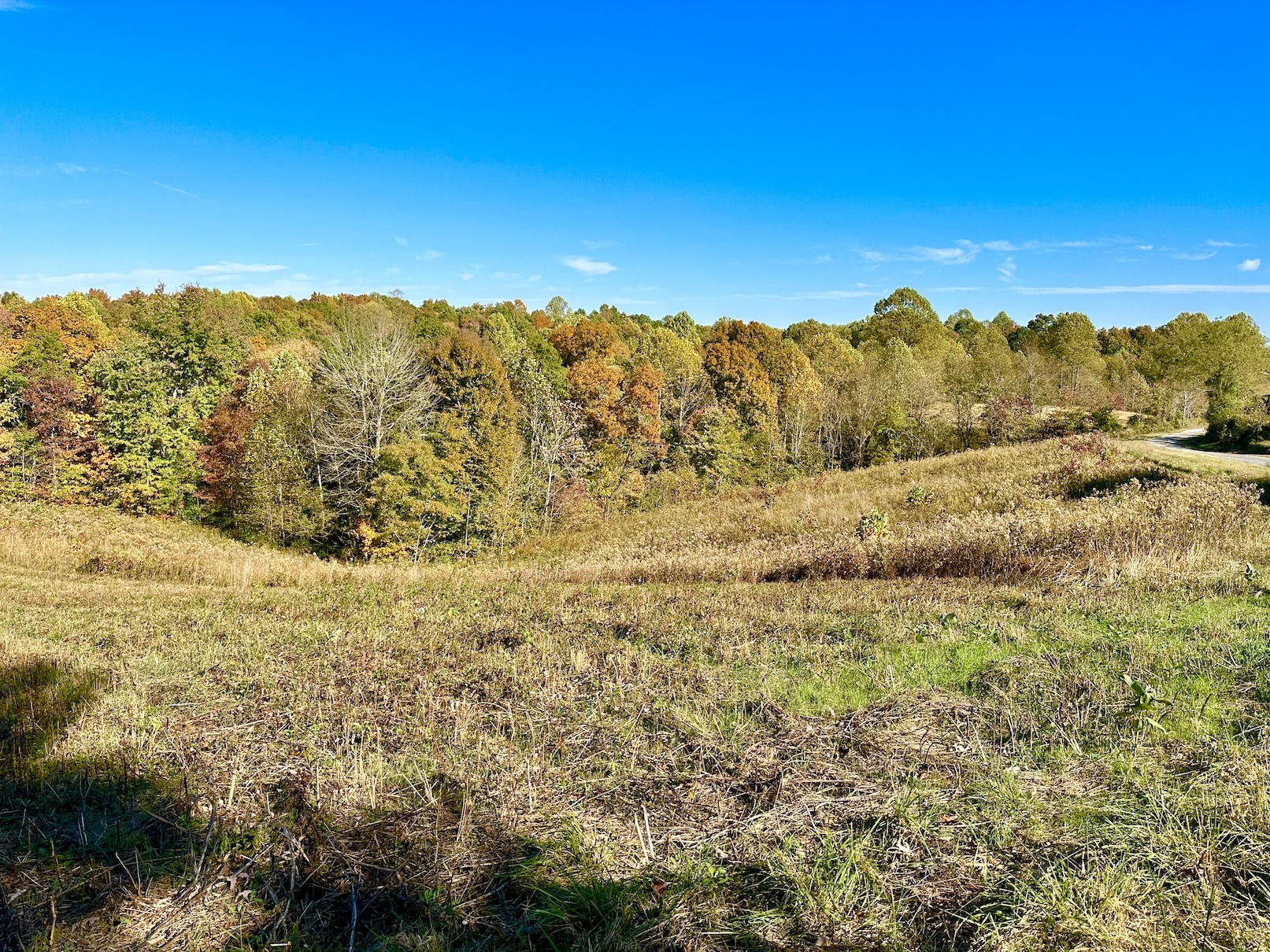 0 Thomas Ridge Road Woodbury, TN 37190 - Photo 1 of 14 Gallery Image 1