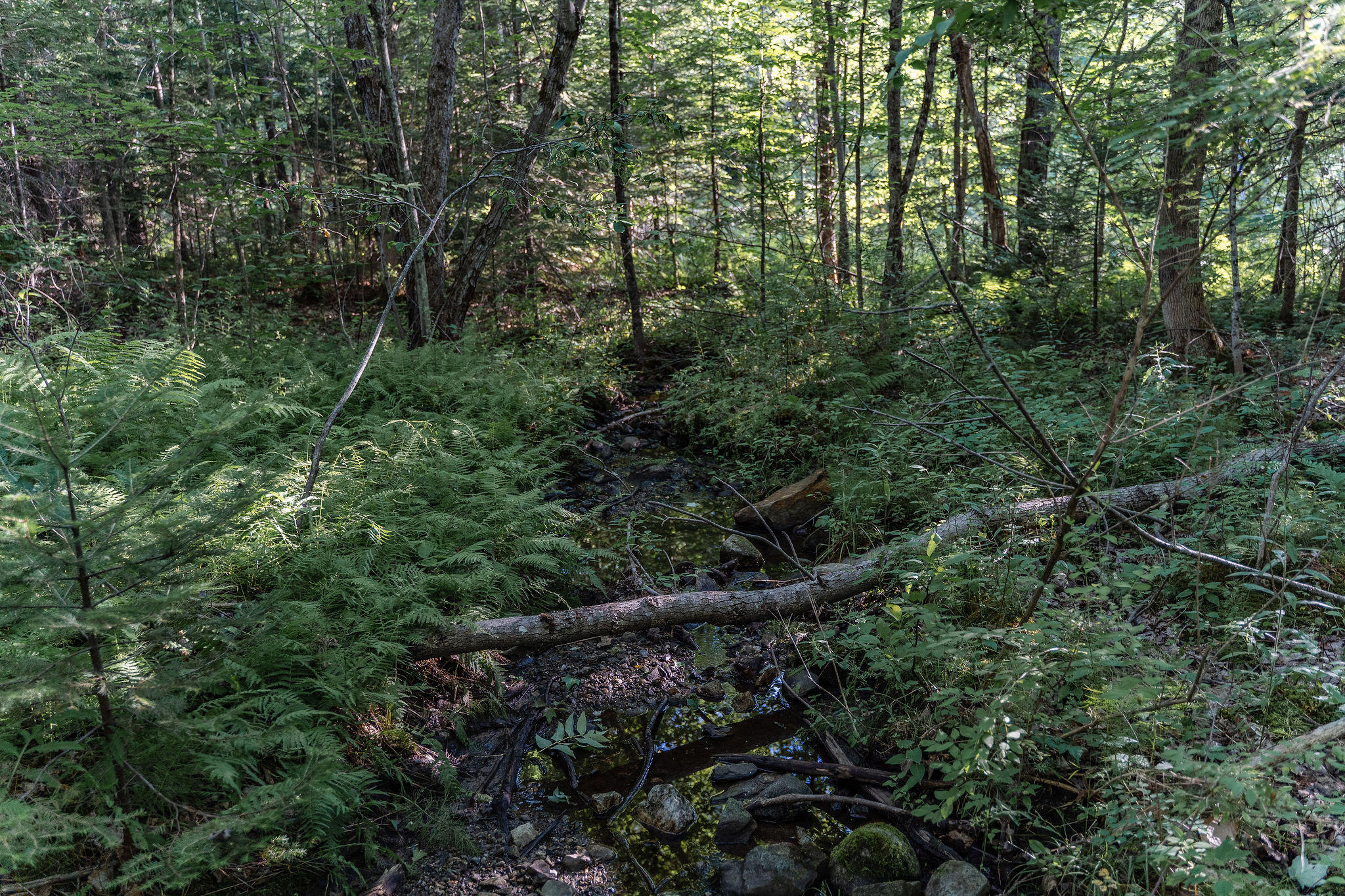 0 Ferrin Road Litchfield, ME 04350 - Photo 24 of 25 Ferrin Rd Litchfield Maine