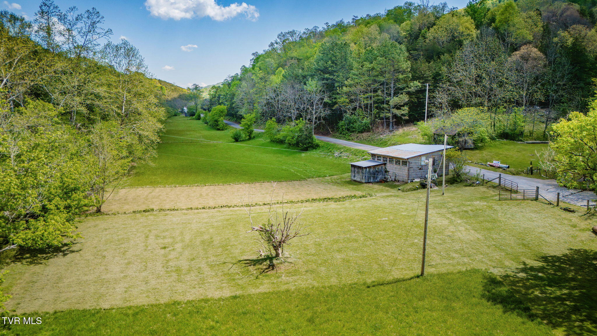 5367 Clinch Mountain Road Eidson, TN 37731 - Photo 3 of 16 002