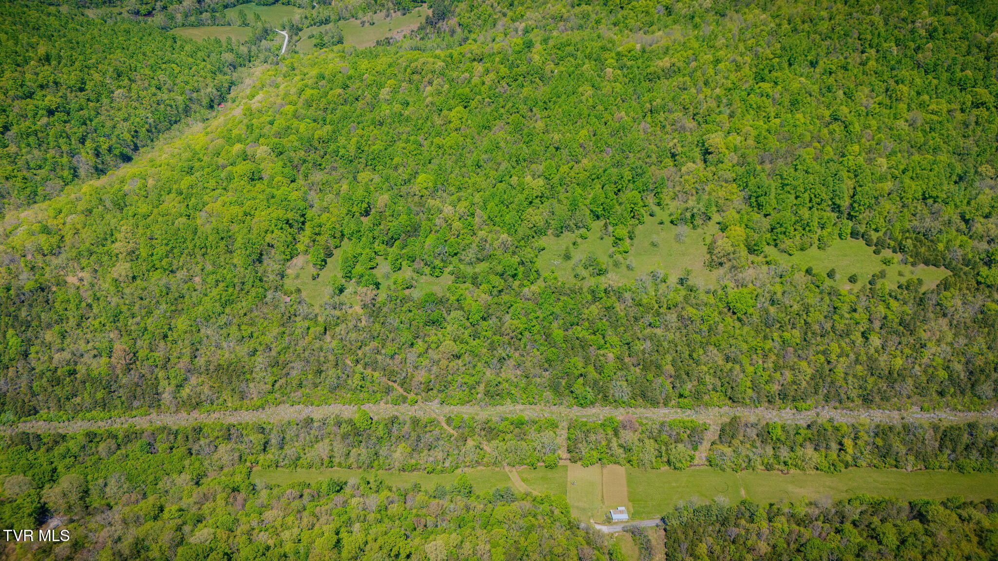 5367 Clinch Mountain Road Eidson, TN 37731 - Photo 4 of 16 003