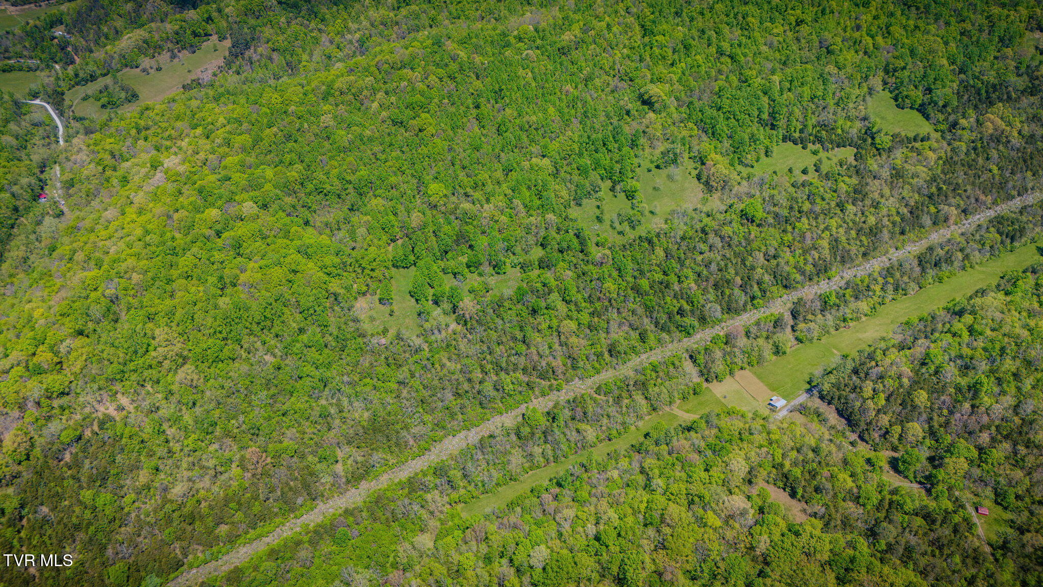 5367 Clinch Mountain Road Eidson, TN 37731 - Photo 5 of 16 004