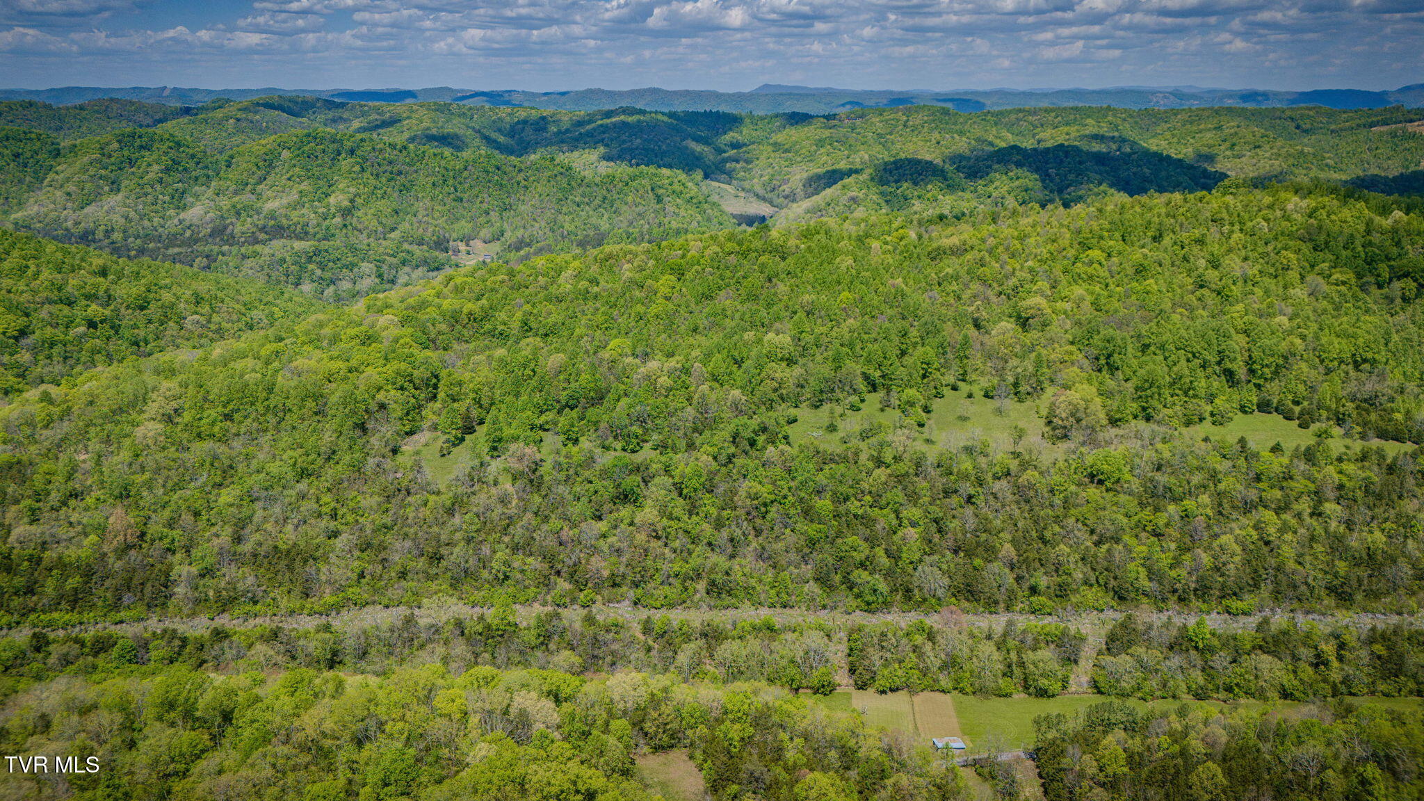 5367 Clinch Mountain Road Eidson, TN 37731 - Photo 8 of 16 007