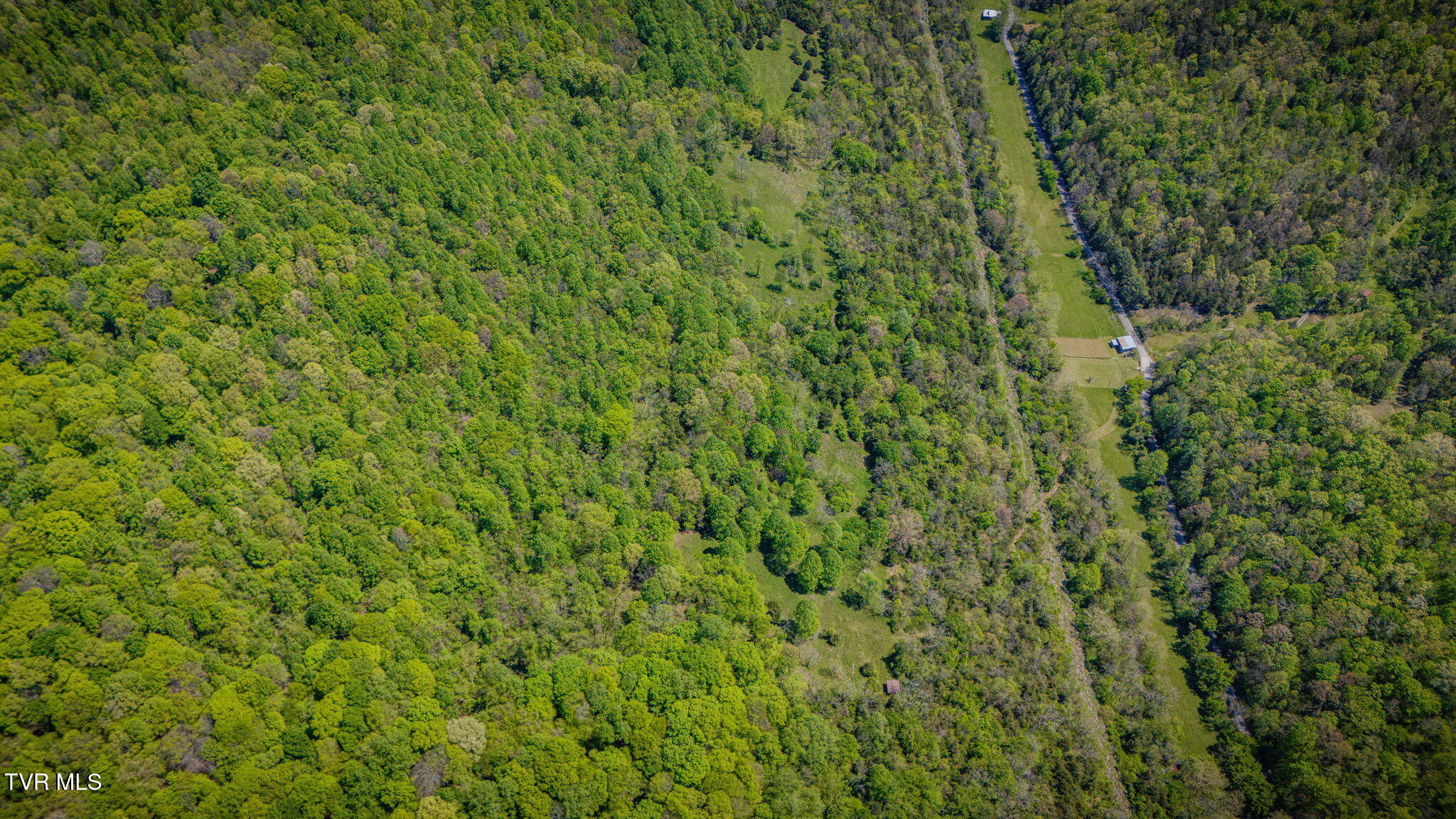 5367 Clinch Mountain Road Eidson, TN 37731 - Photo 10 of 16 009