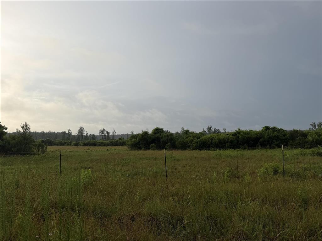 James Manning Road Deridder, LA 70634 - Photo 8 of 10
