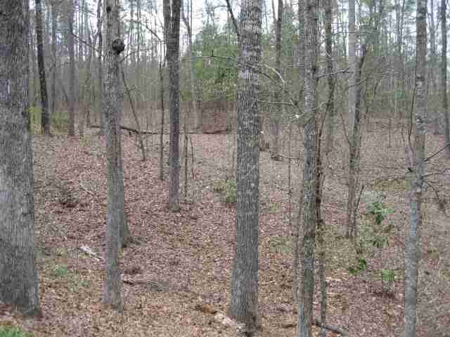 4 Suttles Road Toccoa, GA 30577 - Photo 4 of 8