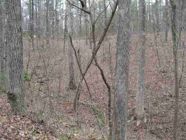 4 Suttles Road Toccoa, GA 30577 - Photo 5 of 8
