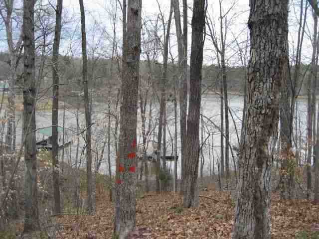 4 Suttles Road Toccoa, GA 30577 - Photo 7 of 8