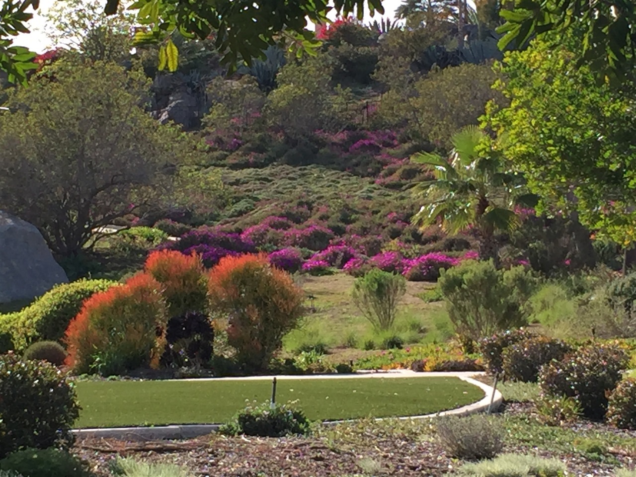 13635 Overland Pass Road Poway, CA 92064 - Photo 8 of 25 Hillside in the Spring...