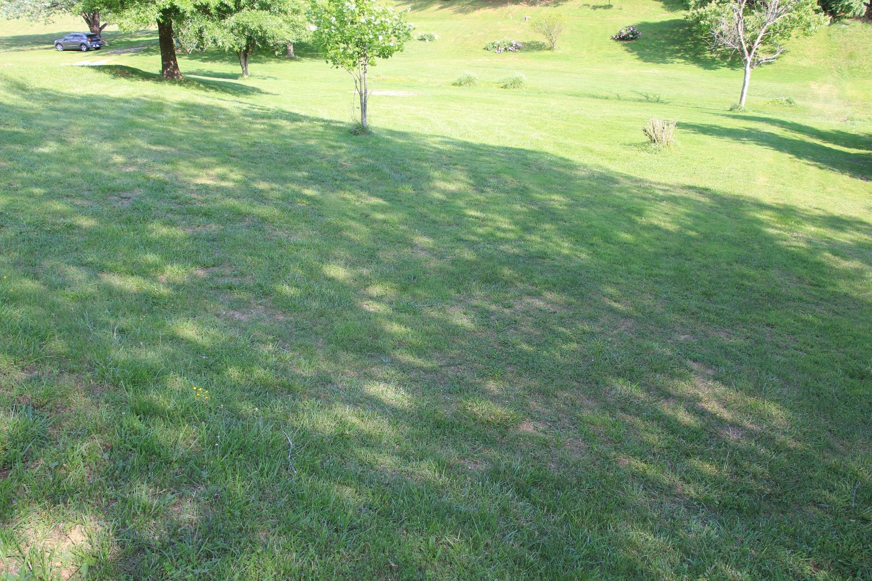 1918 Pico Road Buchanan, VA 24066 - Photo 3 of 29 Front Yard from Road