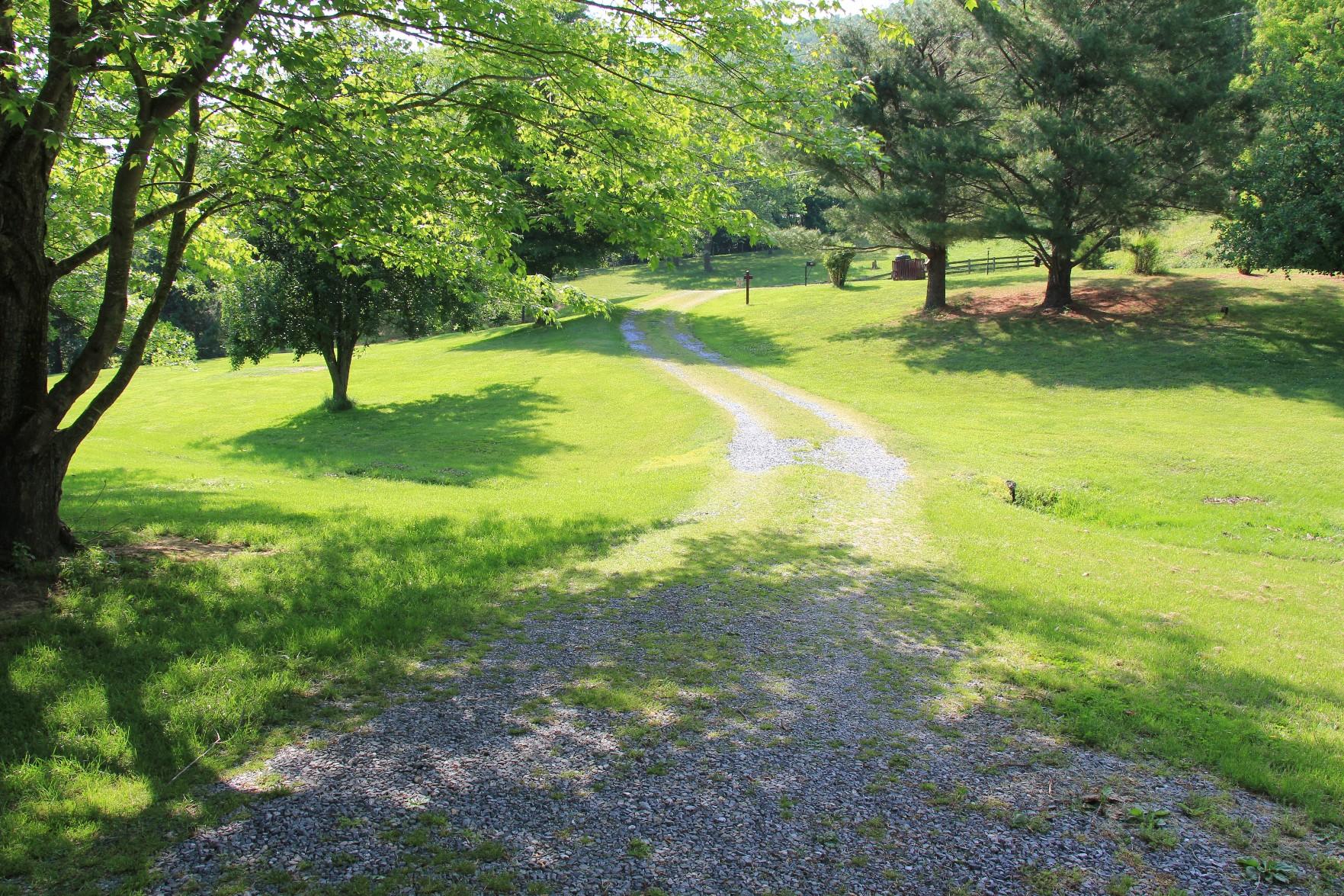 1918 Pico Road Buchanan, VA 24066 - Photo 29 of 29 Driveway Leaving Property