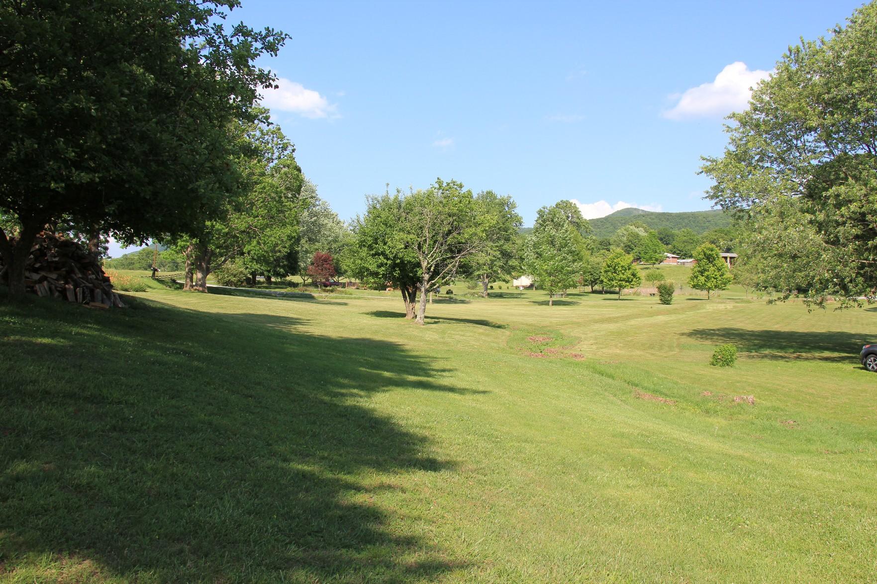 1918 Pico Road Buchanan, VA 24066 - Photo 4 of 29 Mountain Views