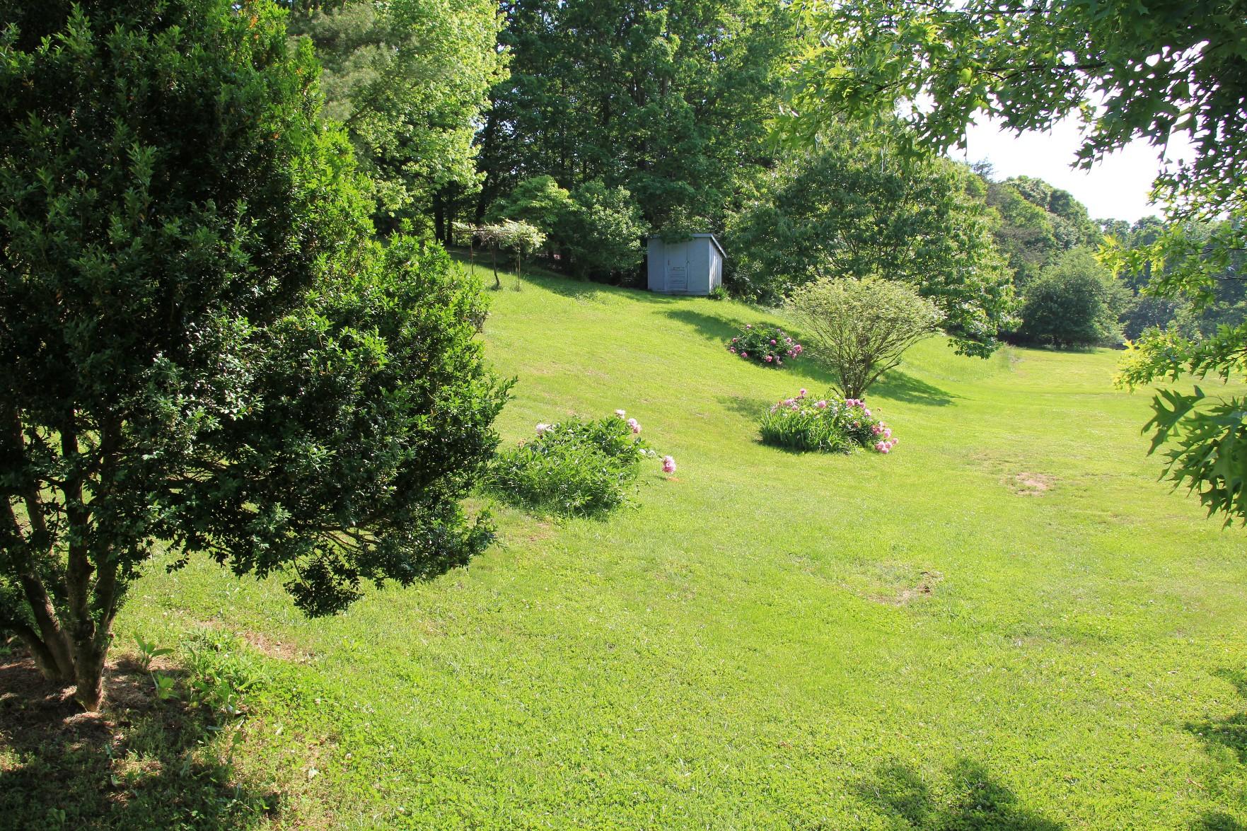 1918 Pico Road Buchanan, VA 24066 - Photo 7 of 29 Yard & 2nd Shed