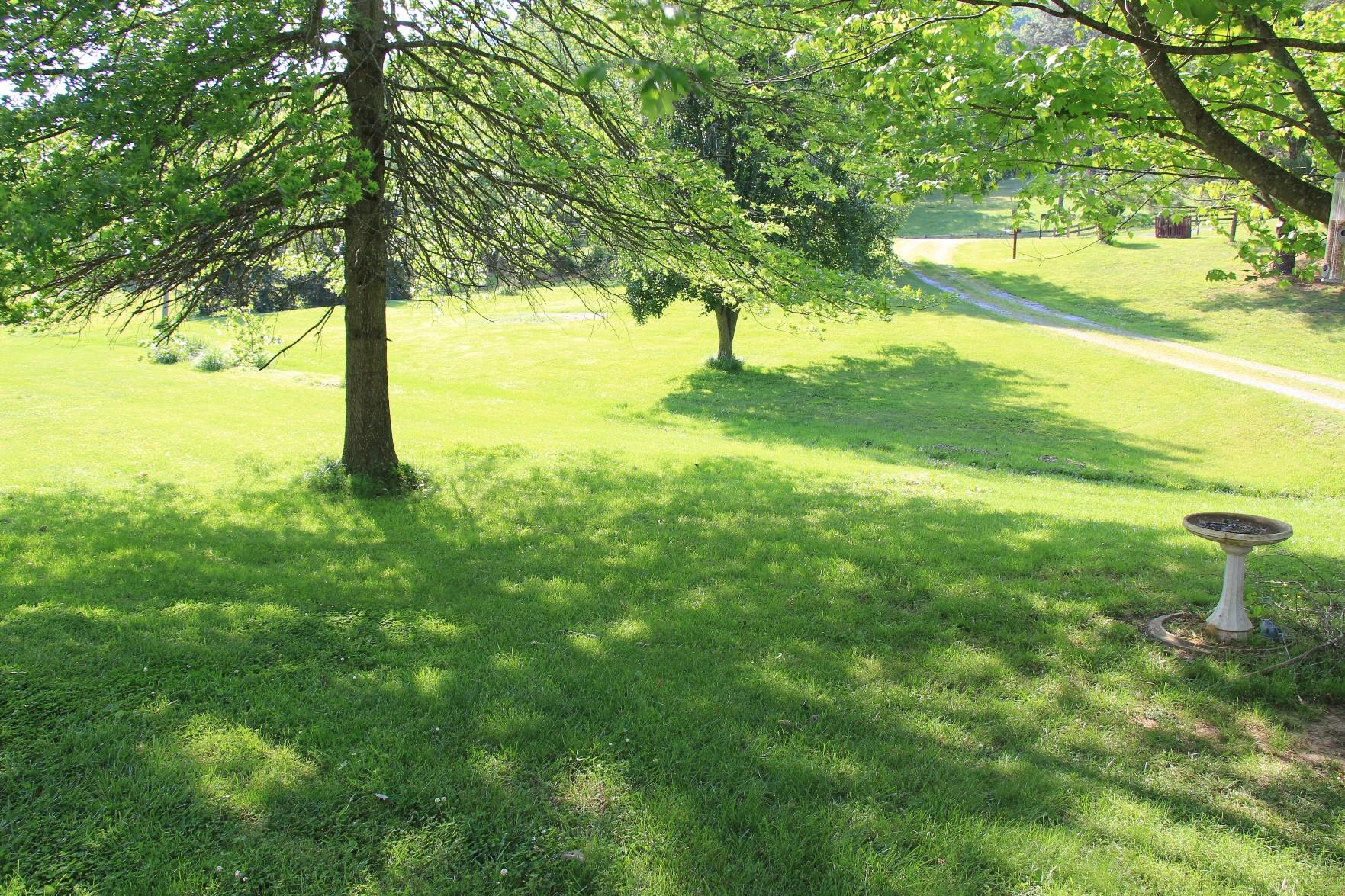 1918 Pico Road Buchanan, VA 24066 - Photo 8 of 29 Front Yard View from House