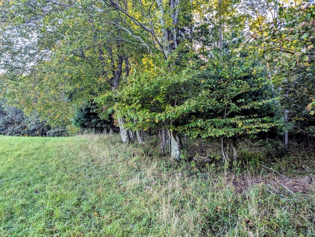Tbd Daniels Run Road Northeast, Unit 1 Check, VA 24072 - Photo 22 of 24 Gallery Image 22