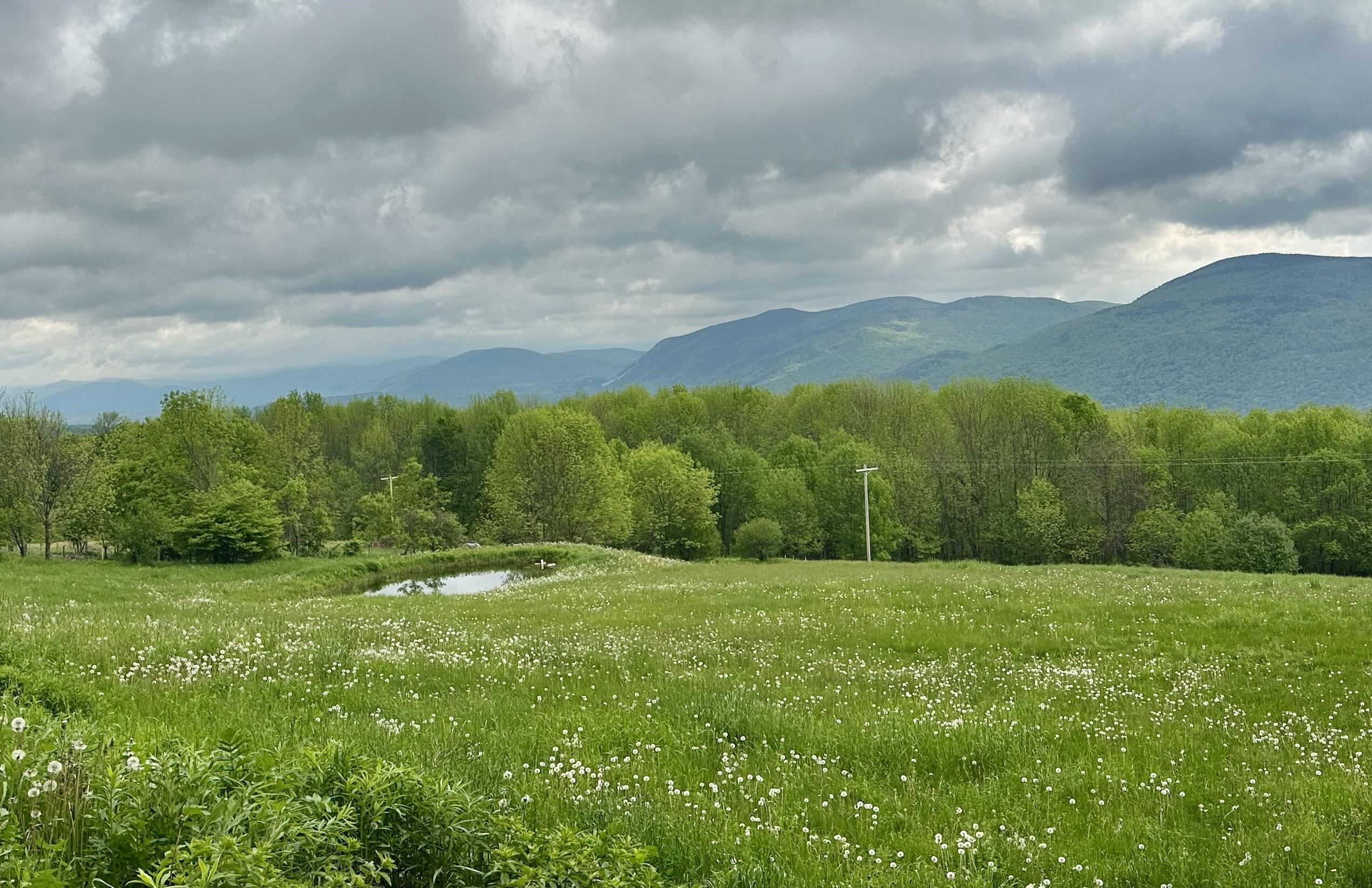 2500 Colvin Hill Road Danby, VT 05739 - Photo 14 of 25 Gallery Image 14