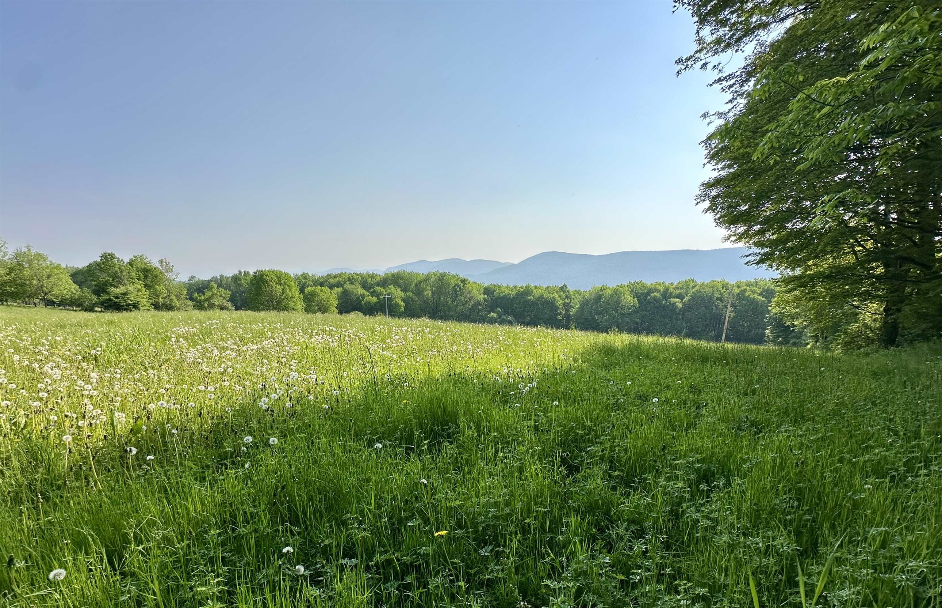 2500 Colvin Hill Road Danby, VT 05739 - Photo 15 of 25 Gallery Image 15