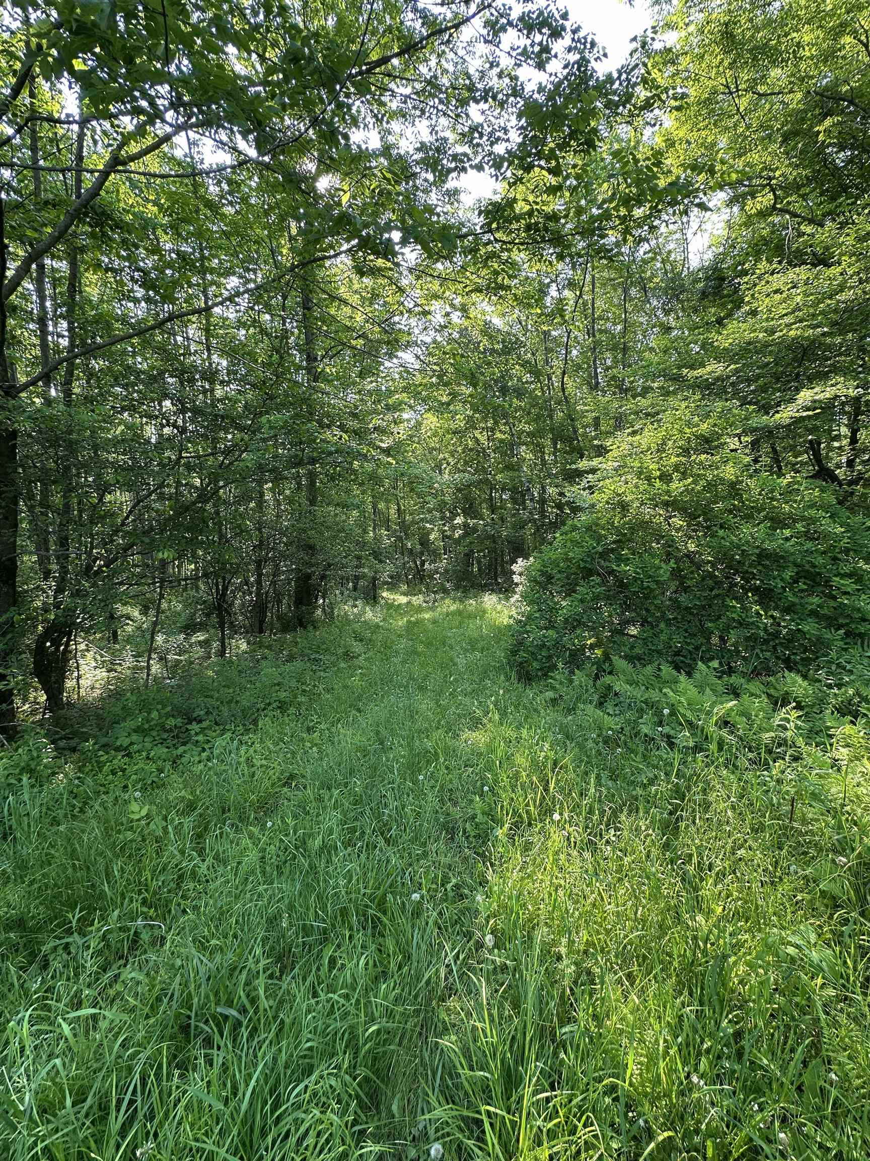 2500 Colvin Hill Road Danby, VT 05739 - Photo 18 of 25 Gallery Image 18