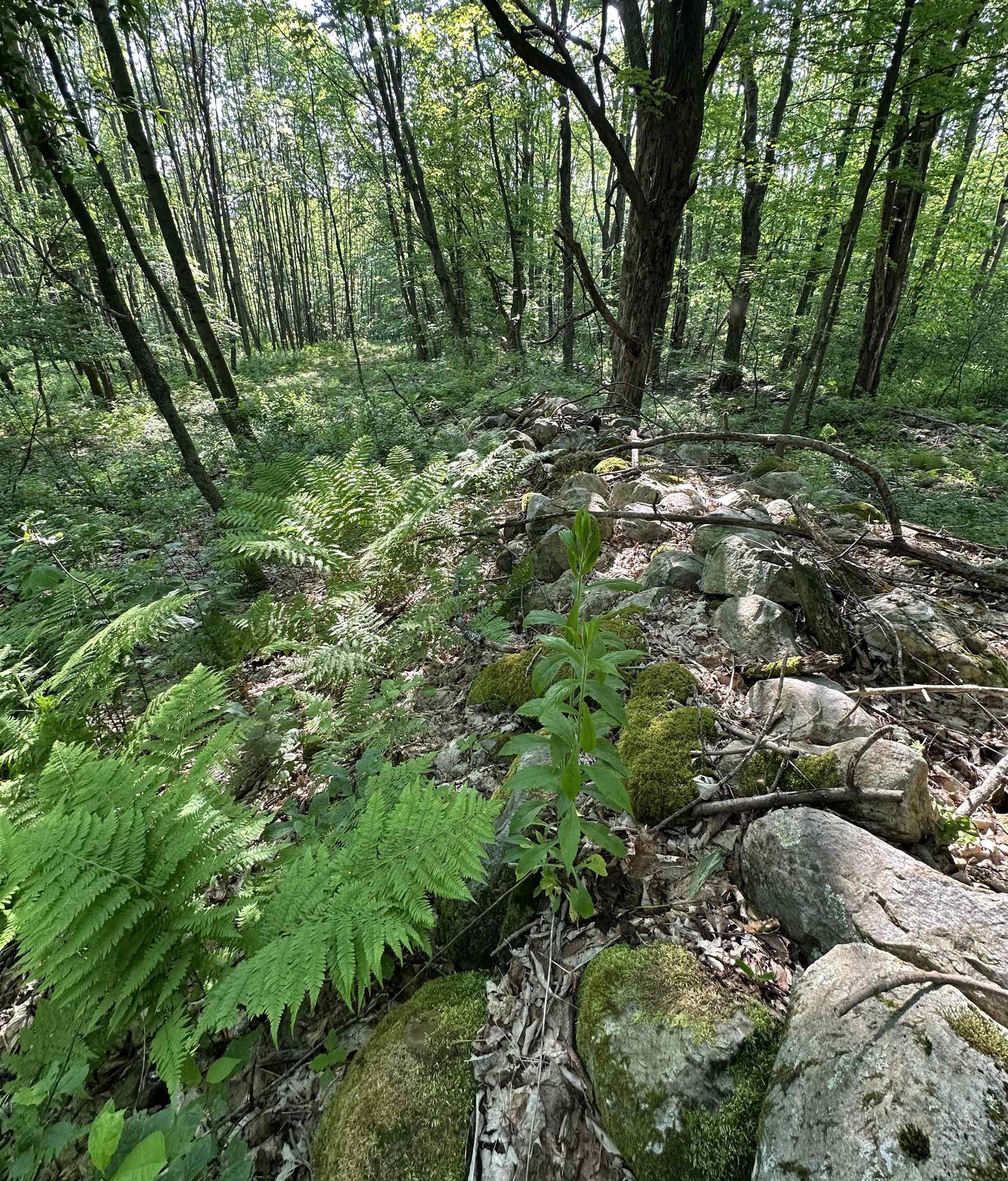 2500 Colvin Hill Road Danby, VT 05739 - Photo 19 of 25 Gallery Image 19