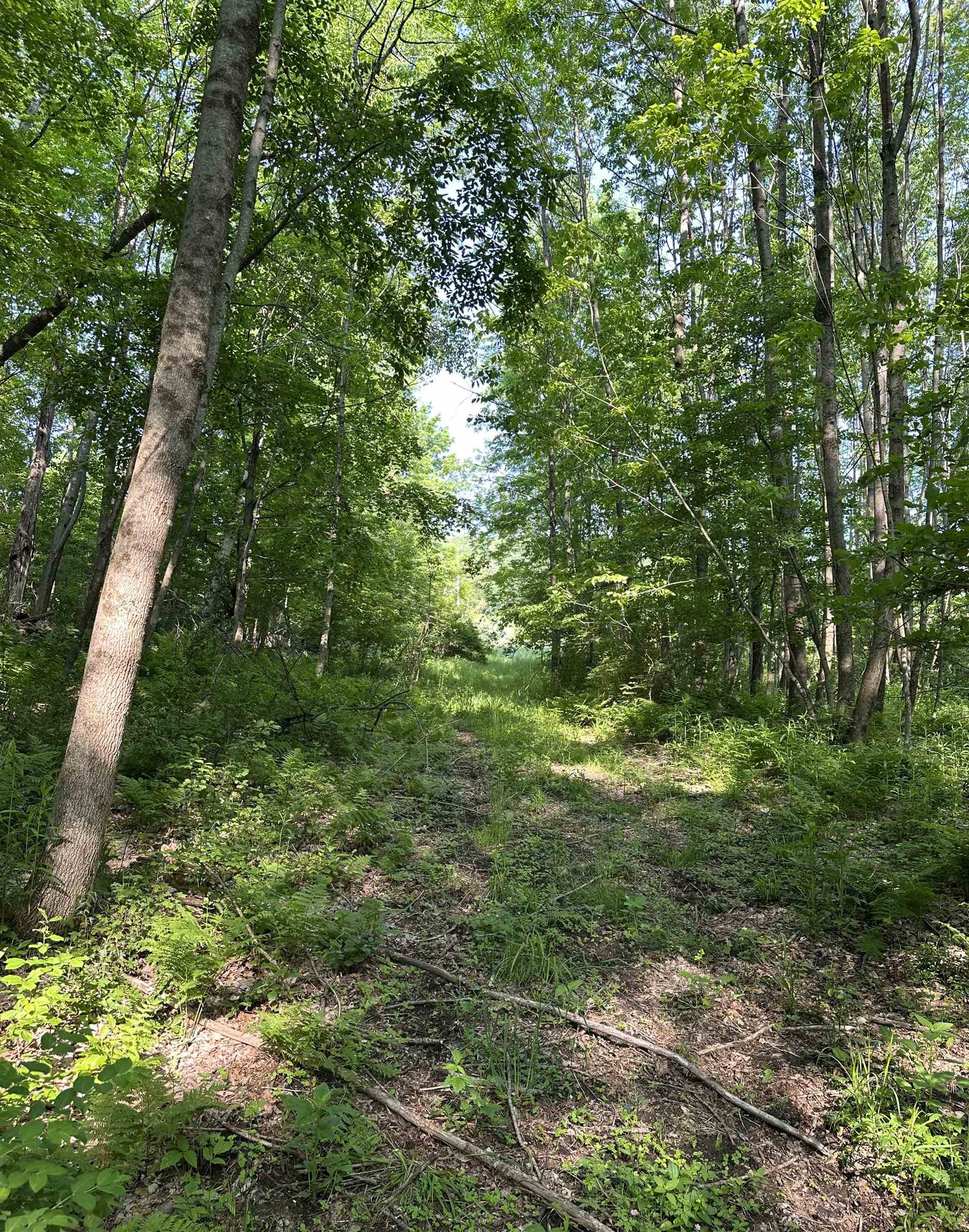 2500 Colvin Hill Road Danby, VT 05739 - Photo 20 of 25 Gallery Image 20