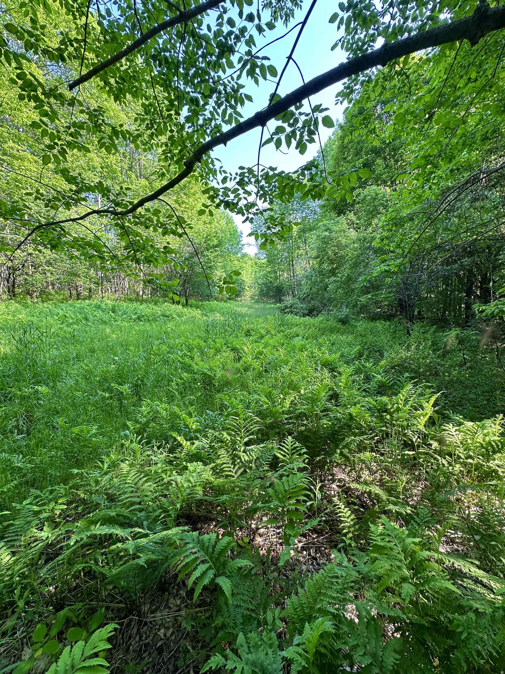 2500 Colvin Hill Road Danby, VT 05739 - Photo 21 of 25 Gallery Image 21